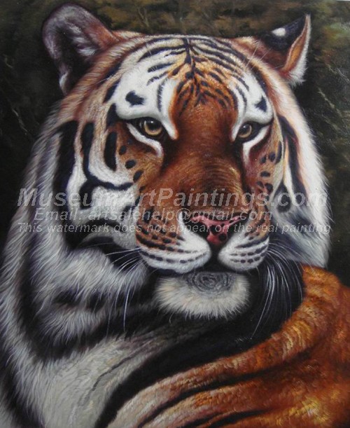 Tiger Oil Paintings 029
