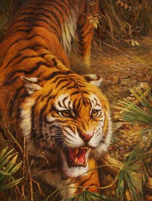 Tiger Oil Paintings 032