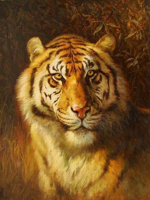 Tiger Oil Paintings 033