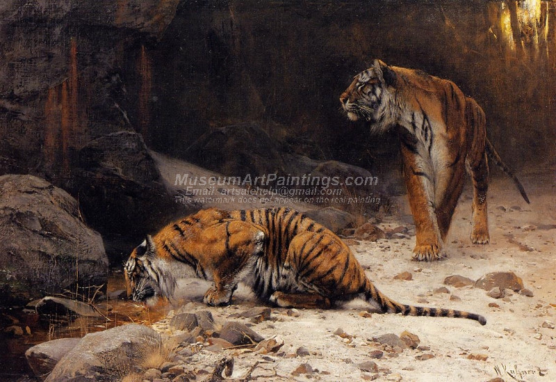 Tigers at a Drinking Pool by Wilhelm Kuhnert