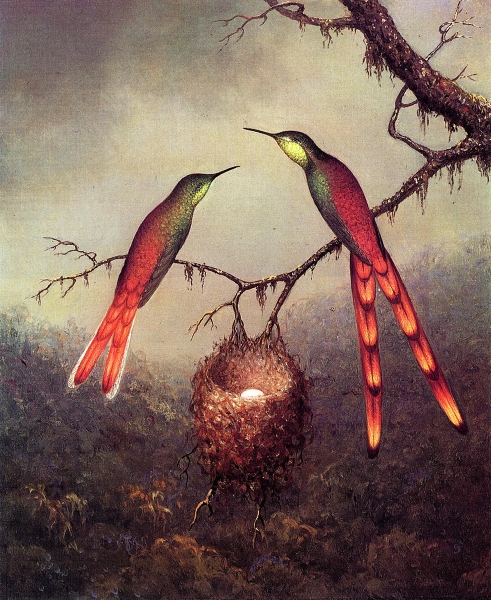 Two Hummingbirds Garding an Egg by Martin Johnson Heade
