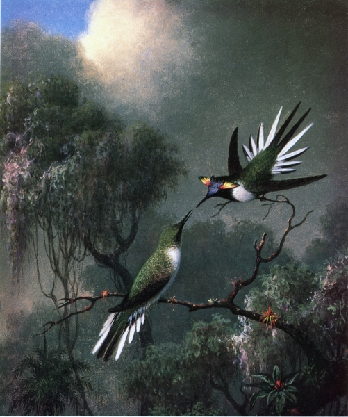 Two Hummingbirds by Martin Johnson Heade