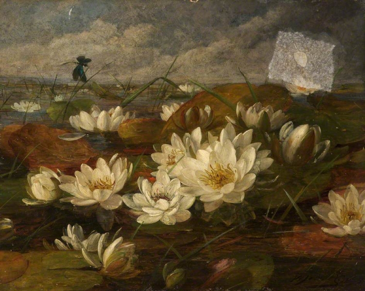 Water Lilies by William Jabez Muckley