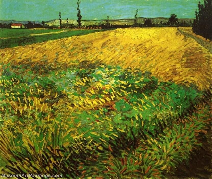 Wheat Field with the Alpilles Foothills in the Background Painting