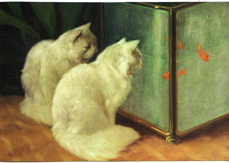 White Cats Watching Goldfish by Arthur Heyer