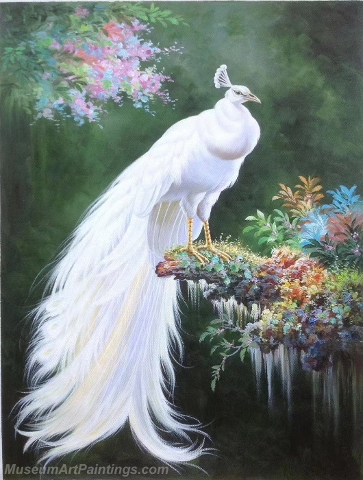 White Peacock Paintings NPOP02