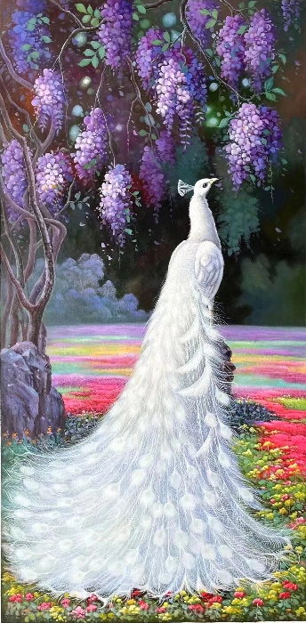 White Peacock Paintings NPOP08