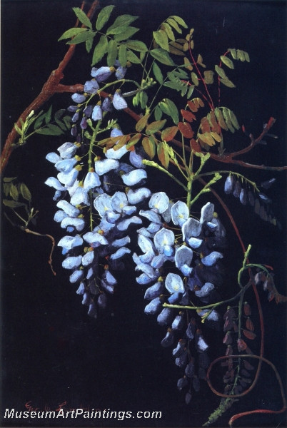 Wisteria by George Cochran Lambdin