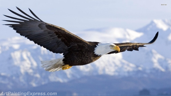 bald eagle painting canvas prints 001