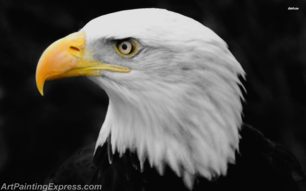 bald eagle painting canvas prints