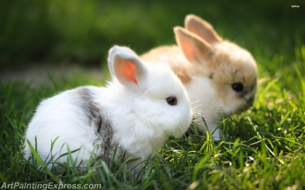 bunnies in the grass painting canvas prints