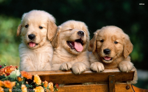 golden retriever puppies painting canvas prints