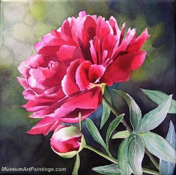 magenta peony