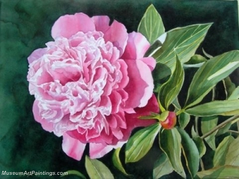 pink peony