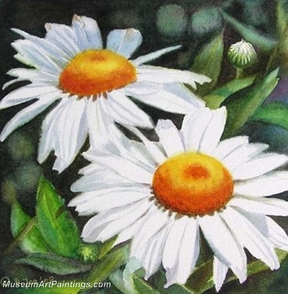 white daisies